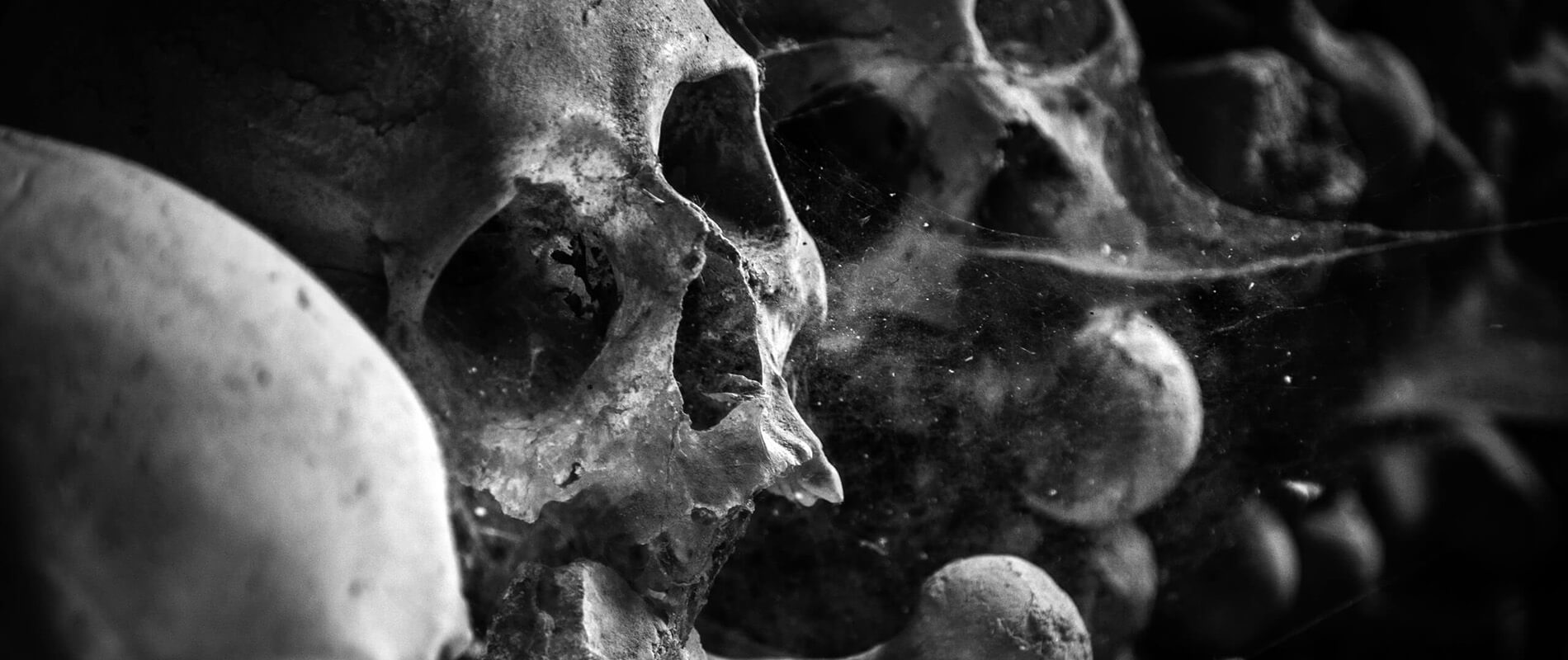 cimitero delle fontanelle napoli 5